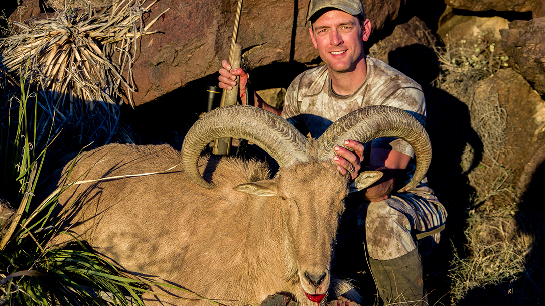Hunting Aoudad Sheep Browning X-Bolt Hell's Canyon Speed Rifle kill