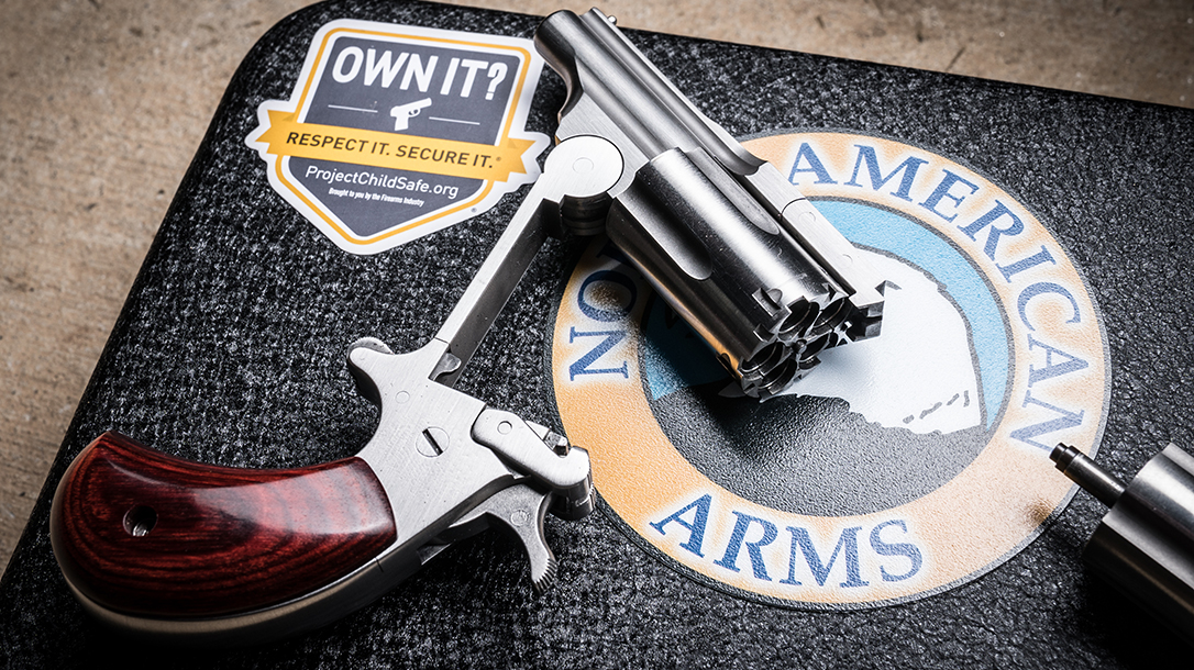 North American Arms Range II Revolver, pistol, cylinder