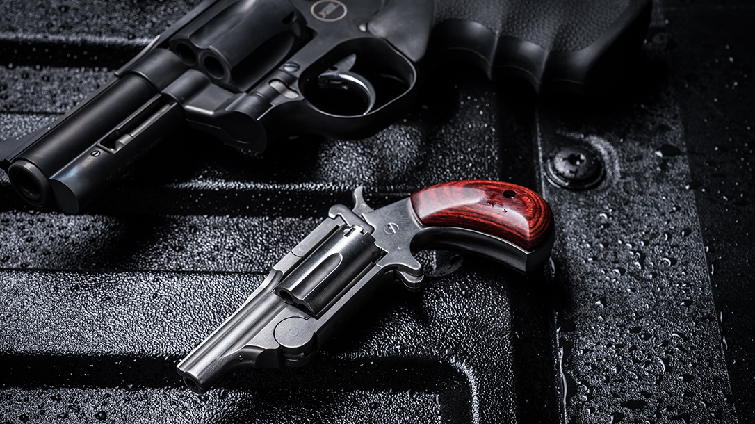 North American Arms Range II Revolver, pistol, lead