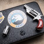 North American Arms Range II Revolver, pistol, safe