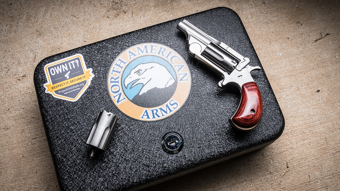 North American Arms Range II Revolver, pistol, safe