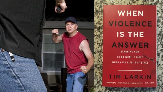 When Violence Is the Answer book review
