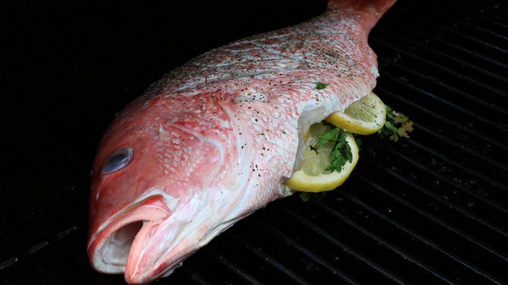 Place the seasoned Snapper, with lemon, garlic and parsley onto the grill at 375 degrees.