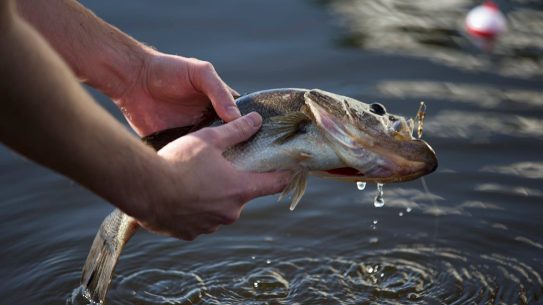 Follow these tips to catch more fish.