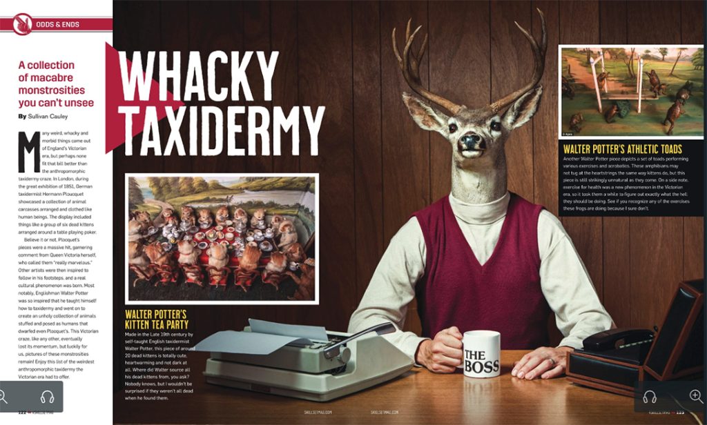 Whacky taxidermy shows some petty wild collections of game.